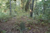 McClouds Bluff Cemetery